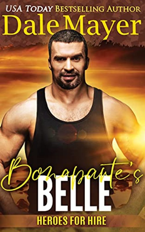 Heroes For Hire by Dale Mayer book cover