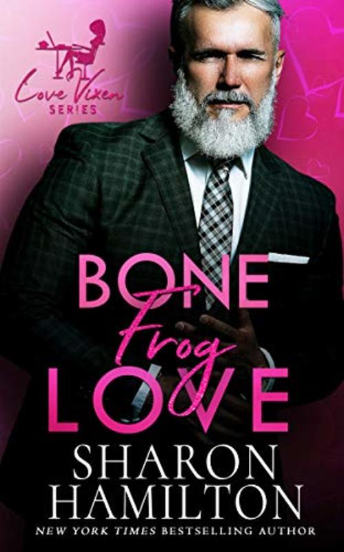 The Love Vixen book cover