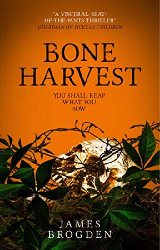 James Brogden book cover