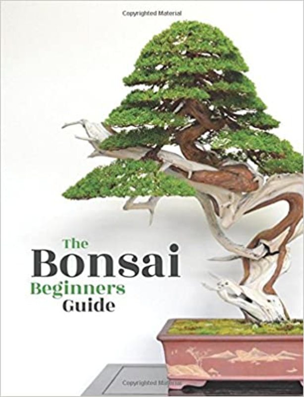 Book cover for "Bonsai" by Bonsai Empire