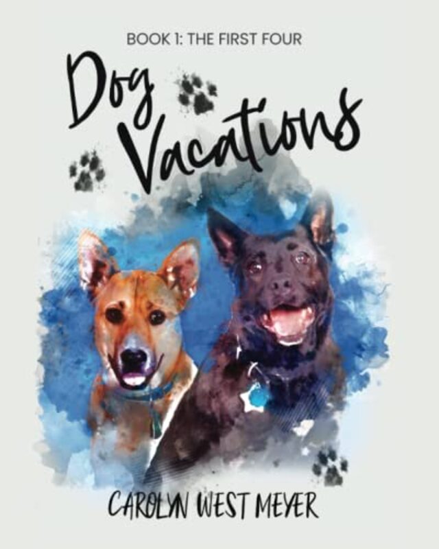 Carolyn Meyer book cover