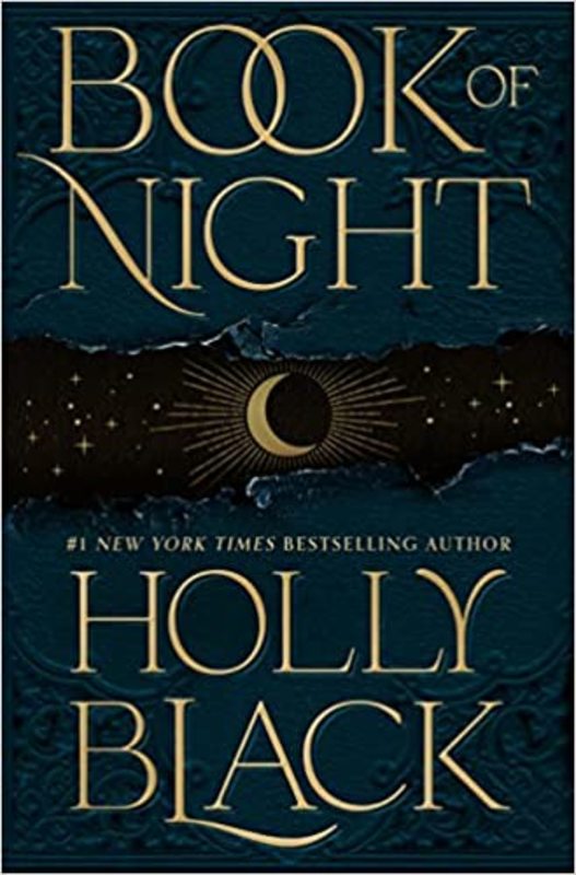 Holly Black book cover