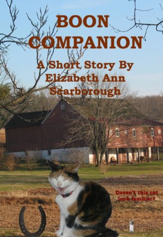 Book cover for "Boon Companion" by Elizabeth Ann Scarborough
