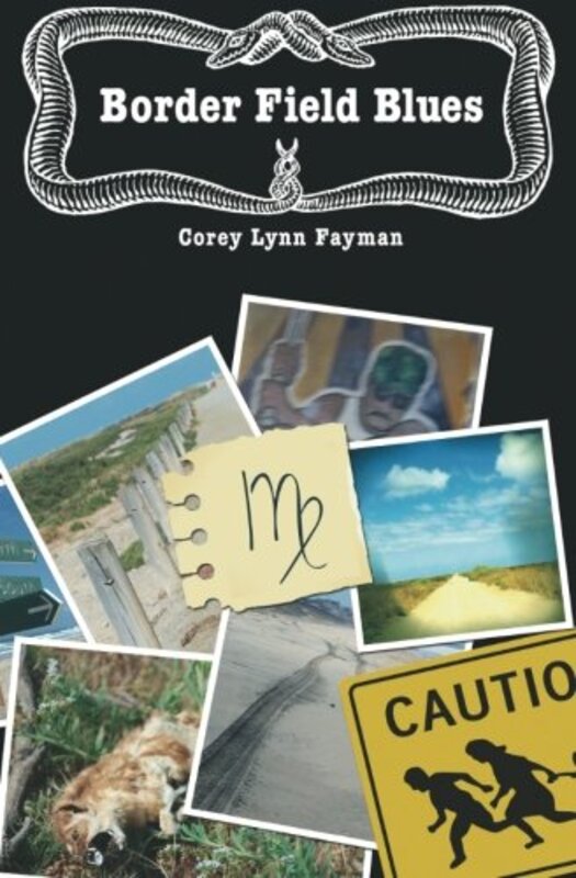 Corey Lynn Fayman book cover