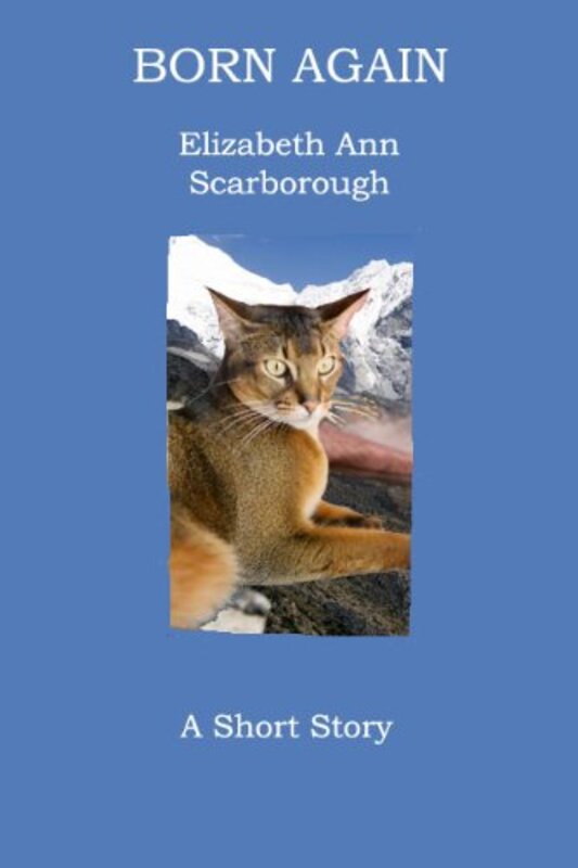 Book cover for "Born Again" by Elizabeth Ann Scarborough