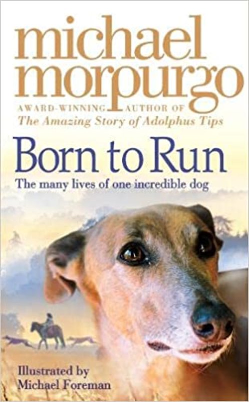 Book cover for "Born to Run" by Michael Morpurgo
