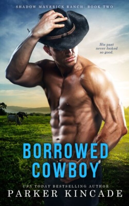 Book cover for "Borrowed Cowboy" by Parker Kincade