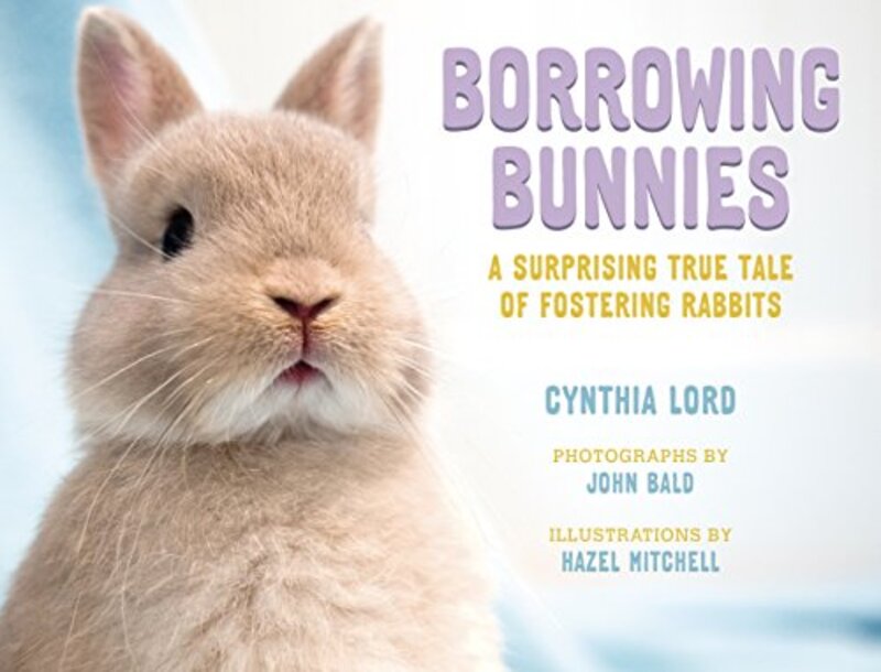 Book cover for "Borrowing Bunnies" by Cynthia Lord