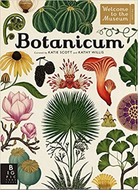 Book cover for "Botanicum" by Kathy Willis