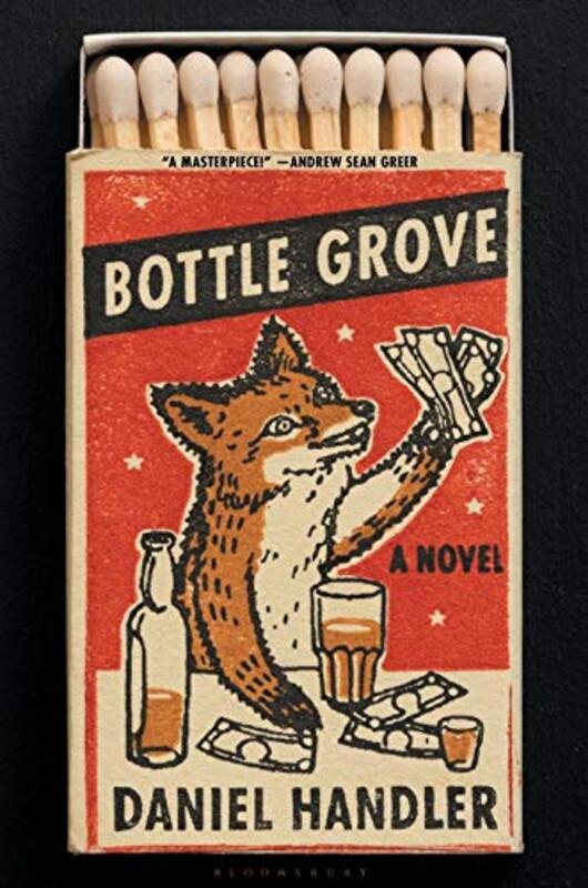 Daniel Handler book cover