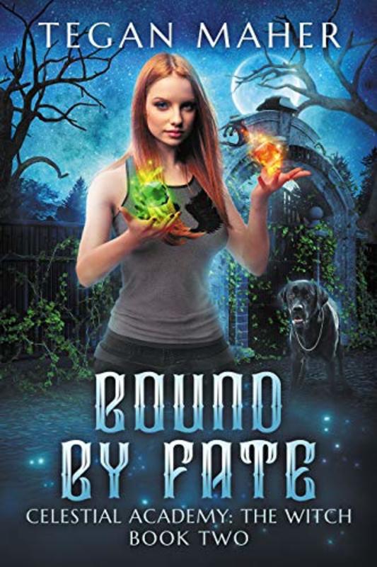 Book cover for "Bound by Fate" by Tegan Maher