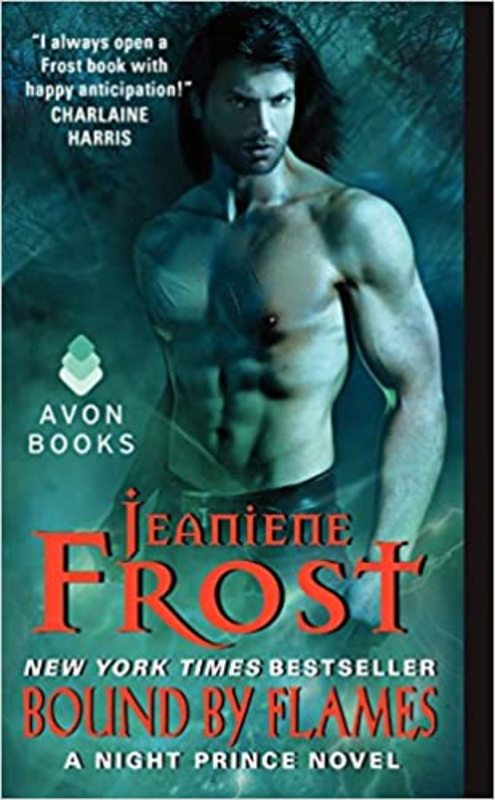 Night Prince book cover