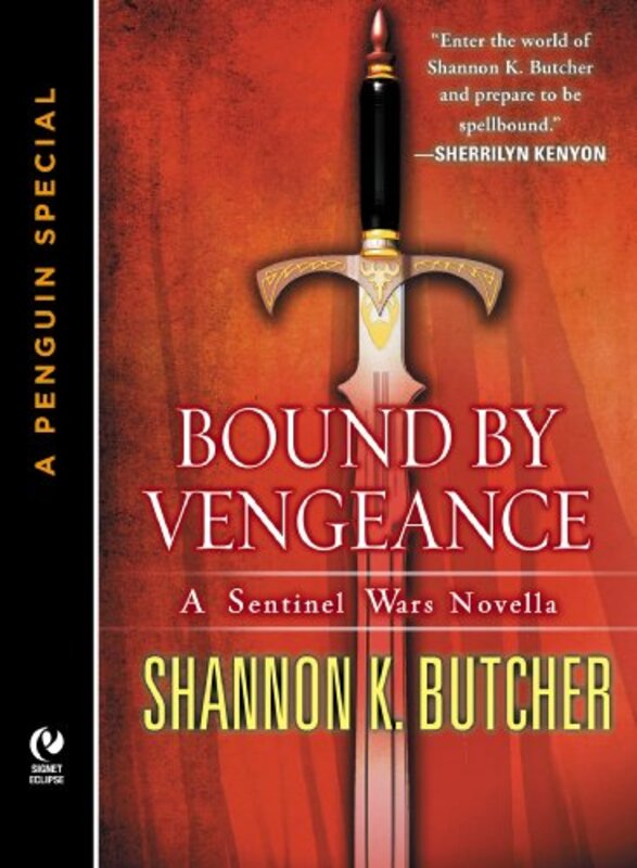 Book cover for "Bound by Vengeance" by Shannon K Butcher