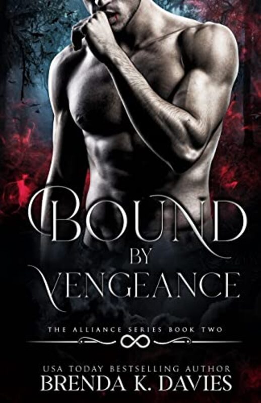 Book cover for "Bound by Vengeance" by Brenda K Davies