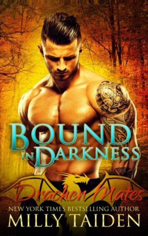 Book cover for "Bound in Darkness" by Milly Taiden