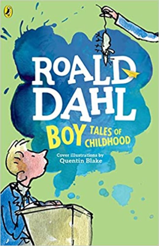 Book cover for "Boy" by Roald Dahl