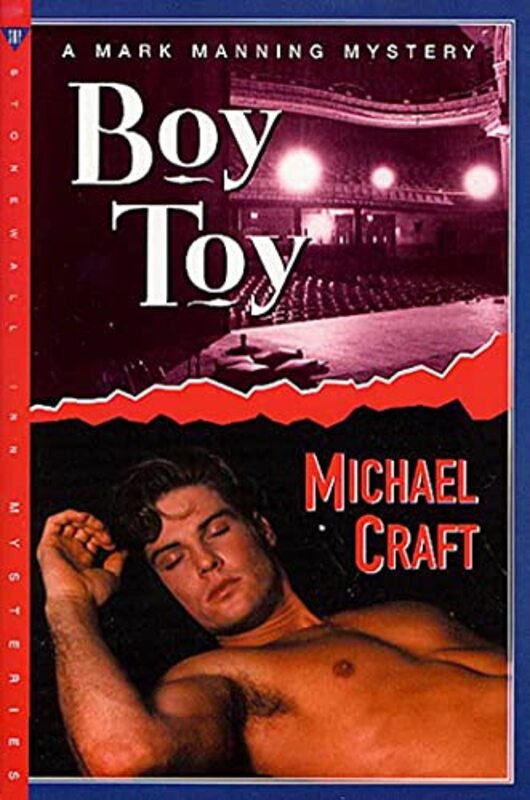 Book cover for "Boy Toy" by Michael Craft