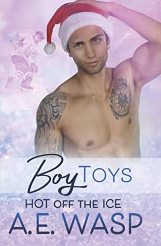 Book cover for "Boy Toys" by AE Wasp