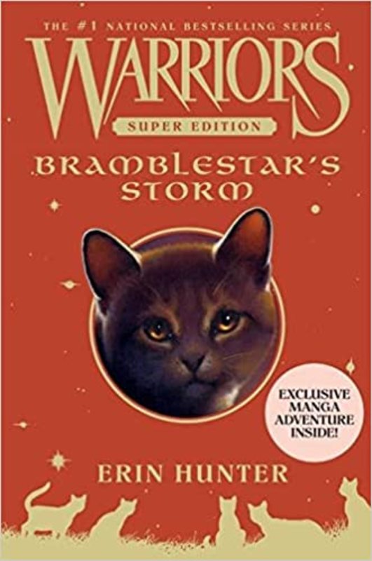 Book cover for "Bramblestar's Storm" by Erin Hunter
