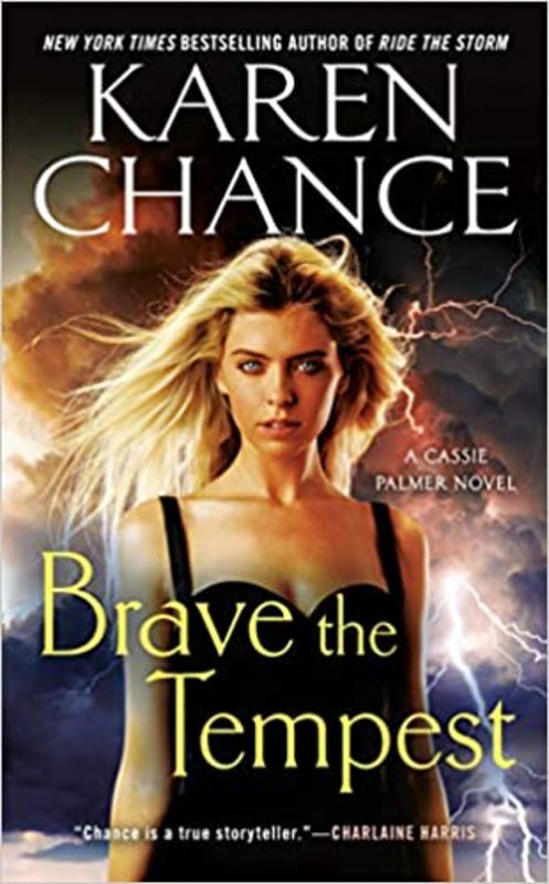 Karen Chance book cover