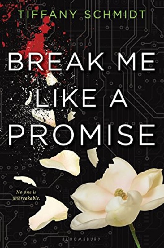Book cover for "Break Me Like a Promise" by Tiffany Schmidt