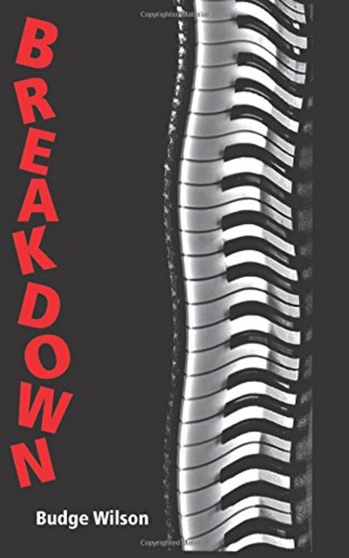 Book cover for "Breakdown" by Budge Wilson