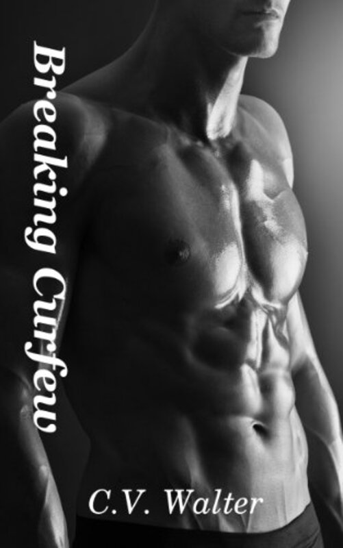 Book cover for "Breaking Curfew" by CV Walter