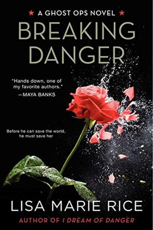 Book cover for "Breaking Danger" by Lisa Marie Rice