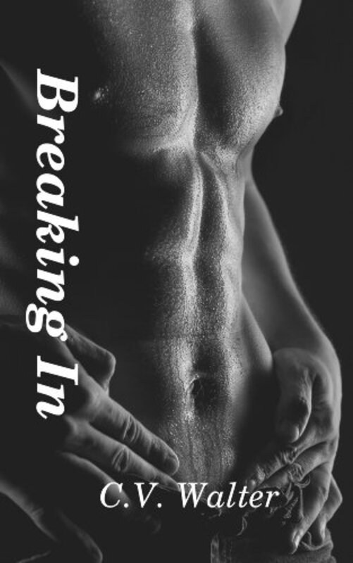 Book cover for "Breaking In" by CV Walter