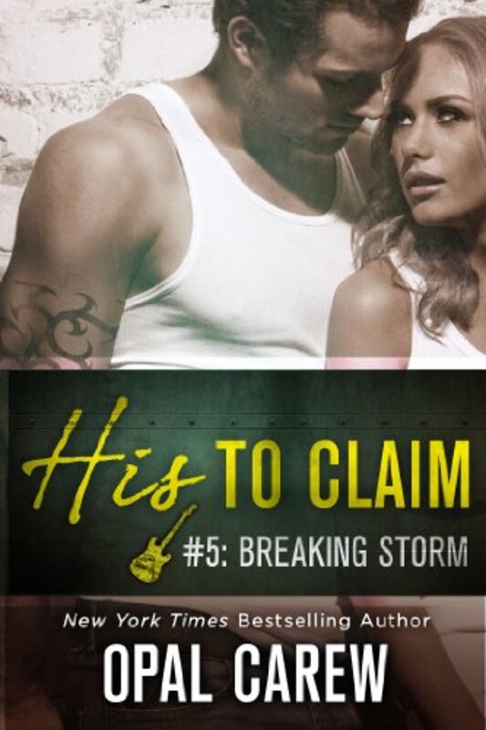 Book cover for "Breaking Storm" by Opal Carew