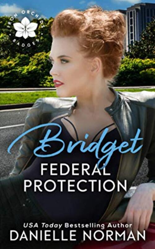 Book cover for "Bridget, Federal Protection" by Danielle Norman