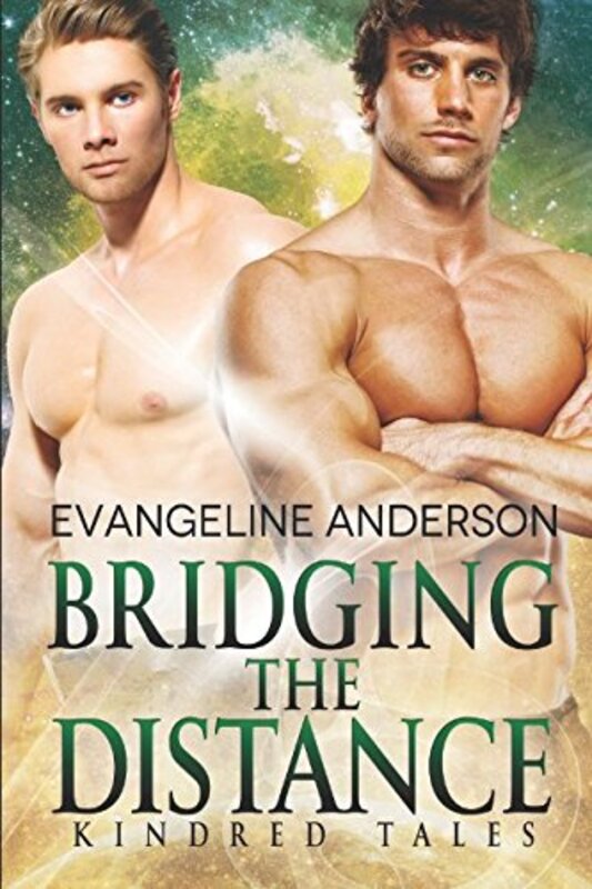 Book cover for "Bridging the Distance" by Evangeline Anderson