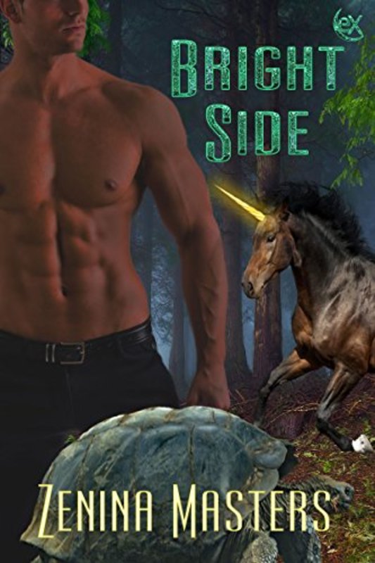 Book cover for "Bright Side" by Viola Grace