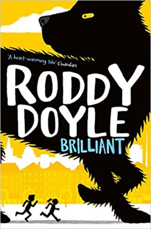 Book cover for "Brilliant" by Roddy Doyle