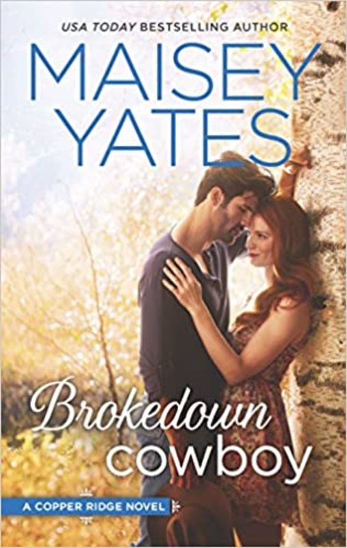 Book cover for "Brokedown Cowboy" by Maisey Yates