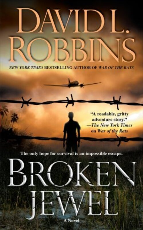 Book cover for "Broken Jewel" by David L Robbins