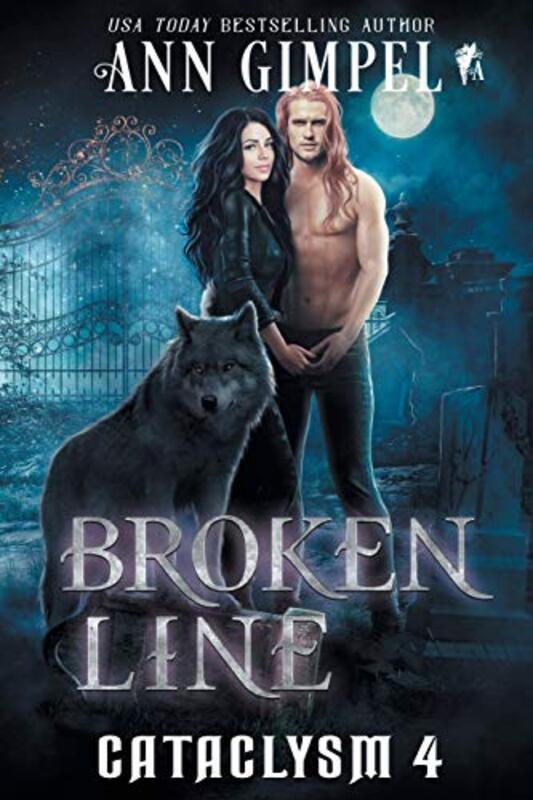 Book cover for "Broken Line" by Ann Gimpel