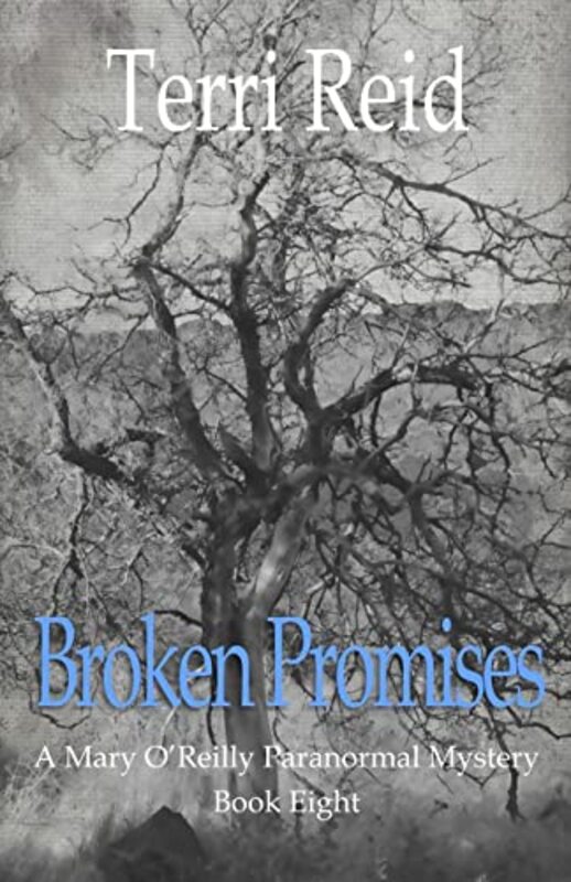 Book cover for "Broken Promises" by Terri Reid