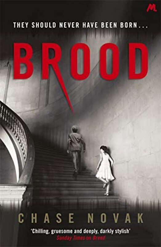 Chase Novak book cover