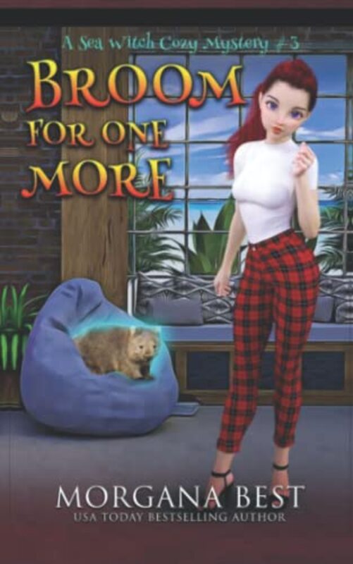 Book cover for "Broom for One More" by Morgana Best
