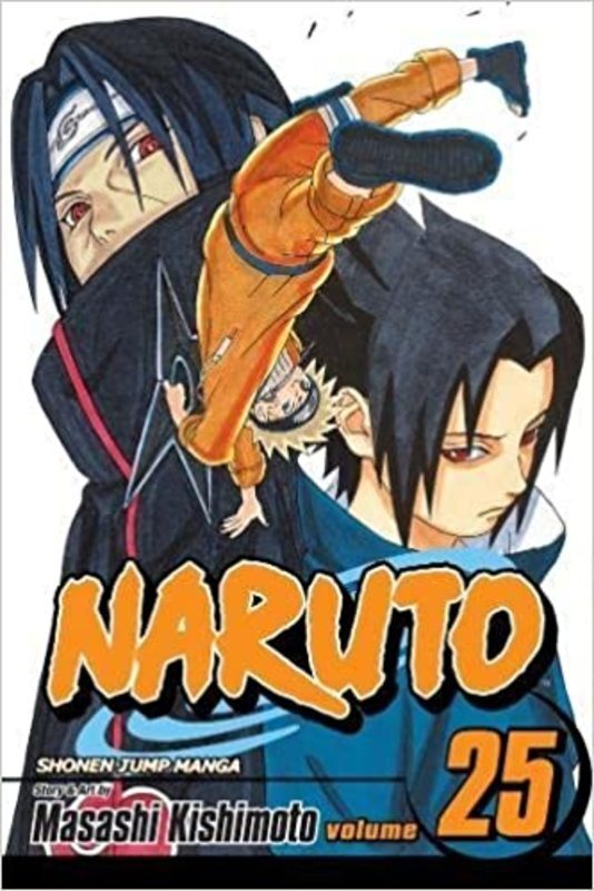 Book cover for "Brothers" by Masashi Kishimoto