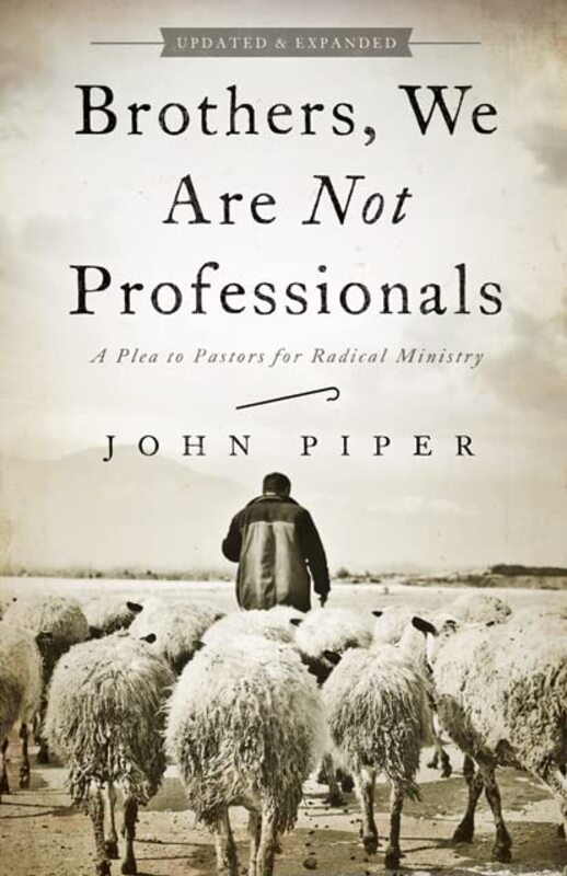 Book cover for "Brothers, We Are Not Professionals"