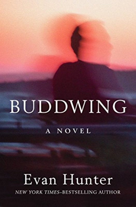 Book cover for "Buddwing" by Ed McBain