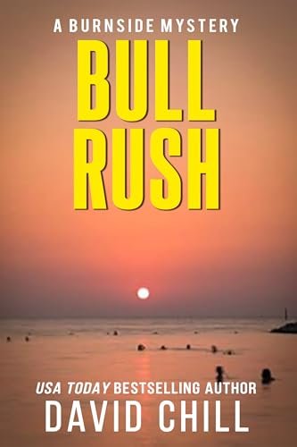 David Chill book cover