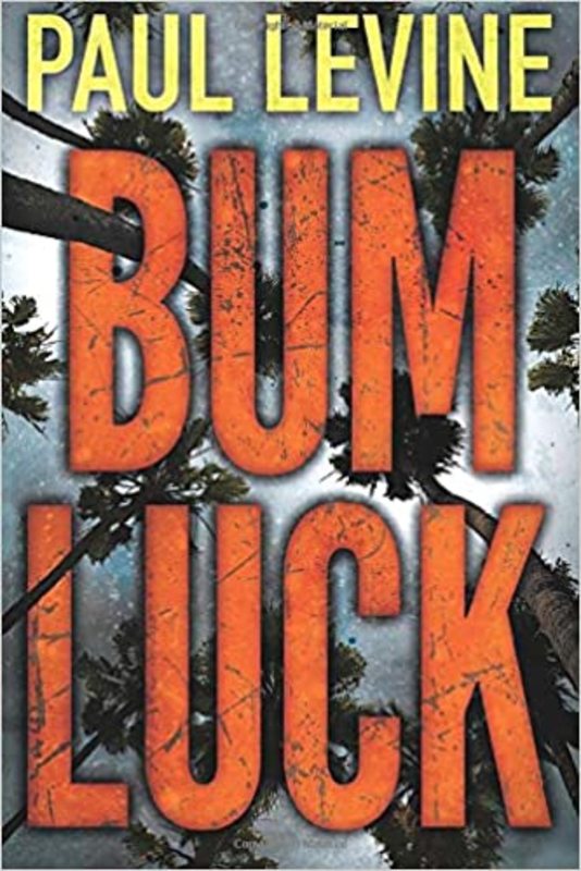 Paul Levine book cover