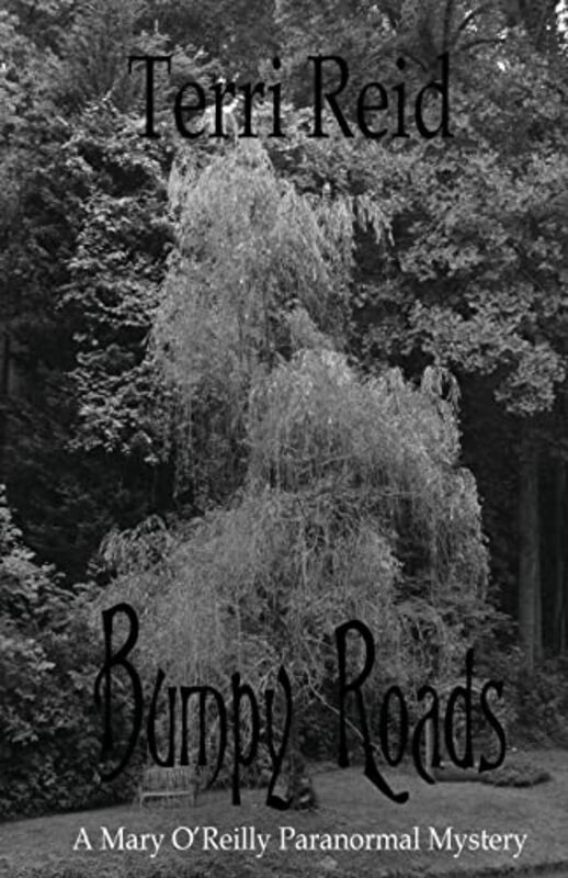 Book cover for "Bumpy Roads" by Terri Reid