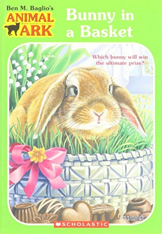 Book cover for "Bunny in a Basket" by Ben M Baglio