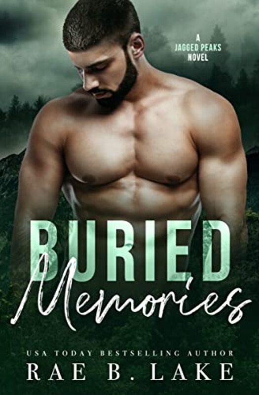 Rae B Lake book cover