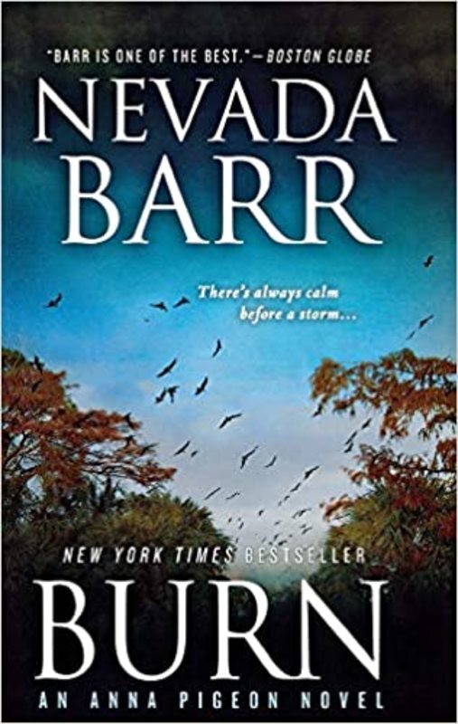 Book cover for "Burn" by Nevada Barr