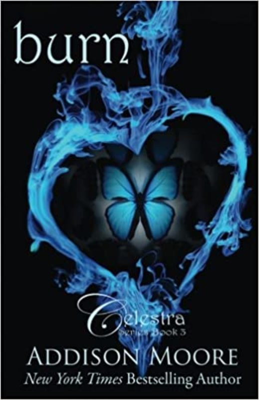 Book cover for "Burn" by Addison Moore